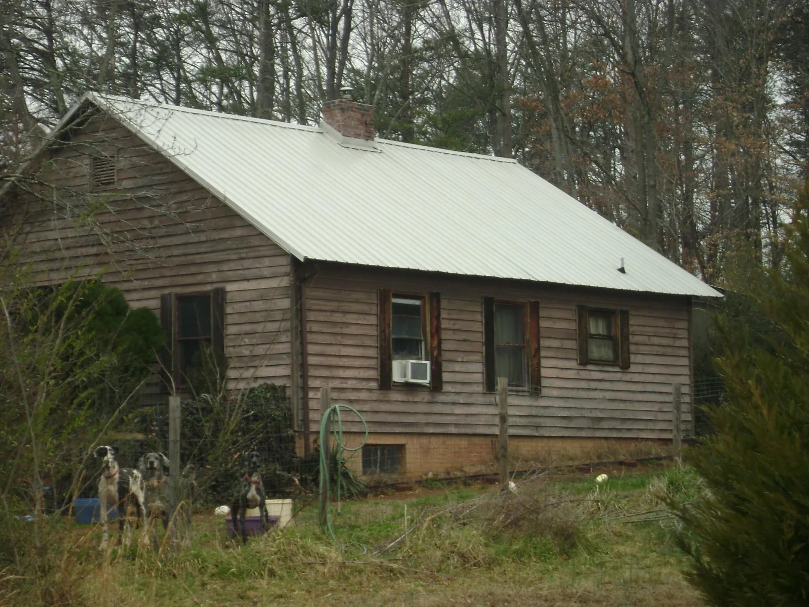 White metal roof on an old wood sided farmhouse, from a Asphalt Shingle Roof Repair job in Cloverdale